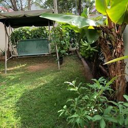 The Countryside (D26), Terrace #544375241